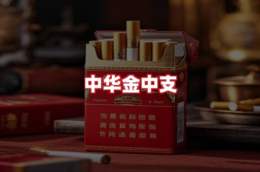 中华金中支